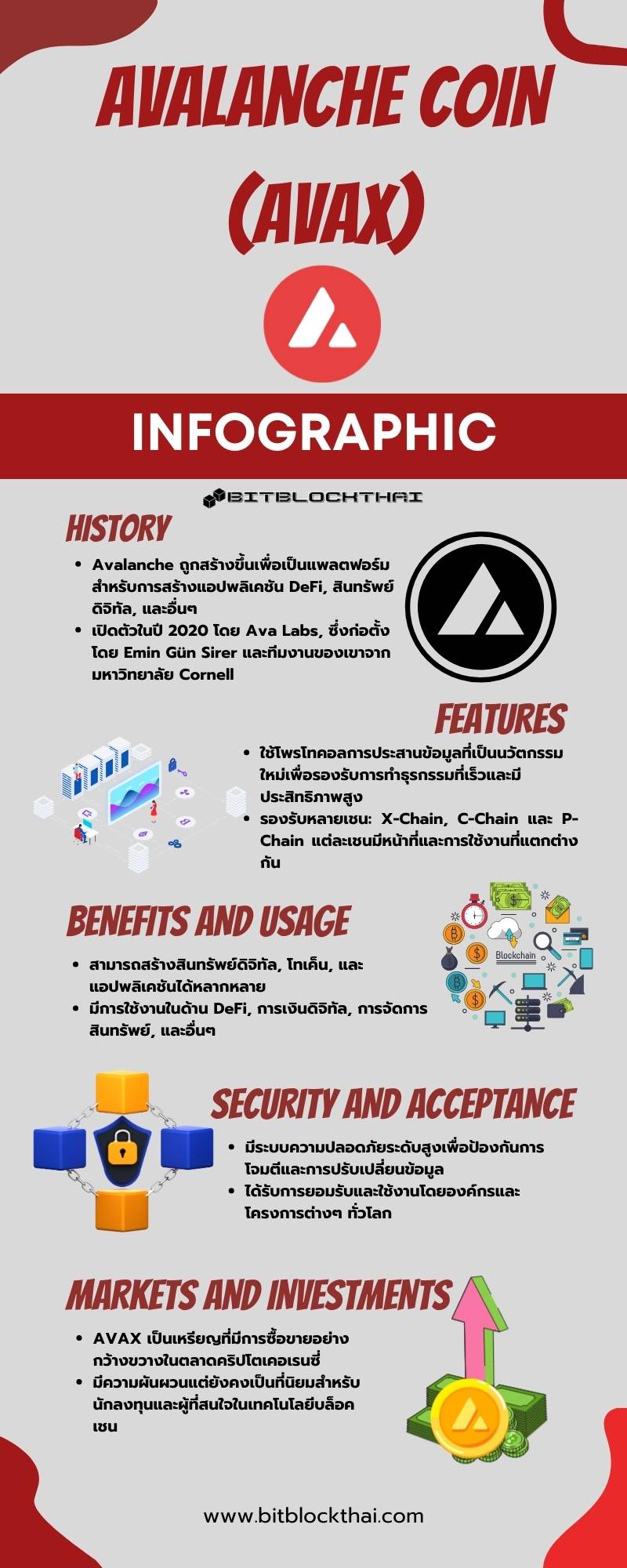 avalanche avax infographic thai