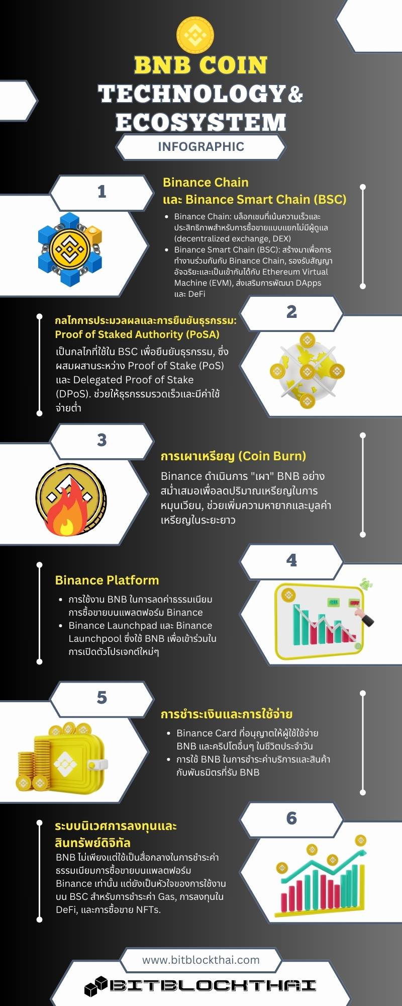 bnb coin technology and ecosystem infographic