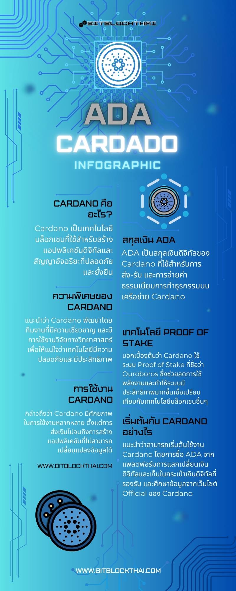 cardano ada infographic thai