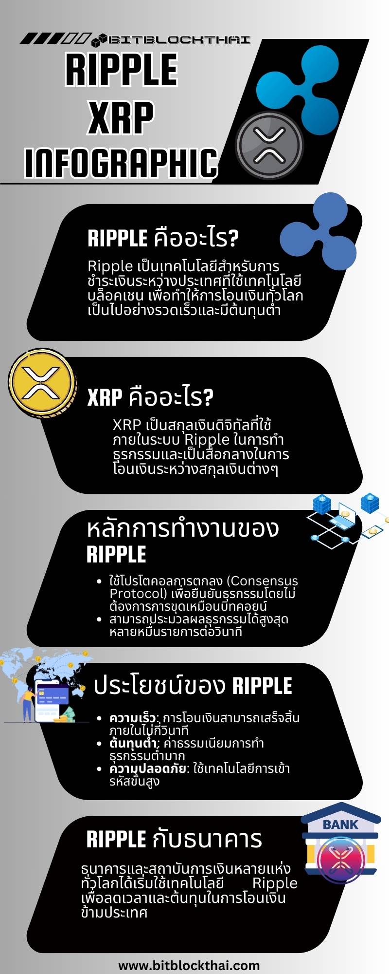 ripple xrp infographic thai