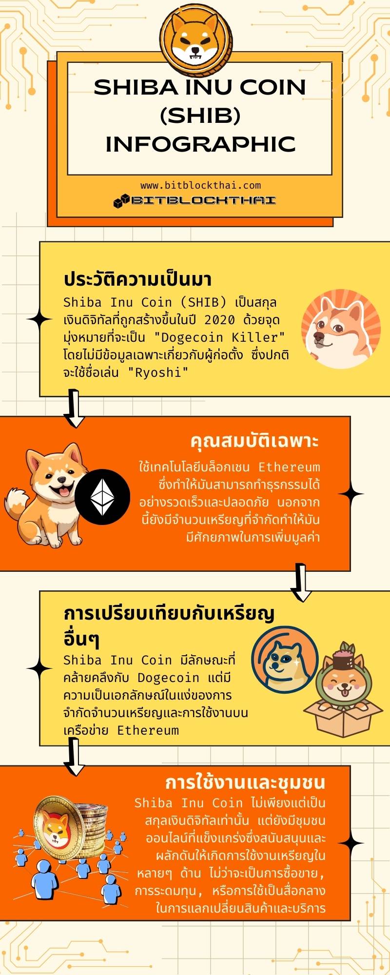 shiba inu shib coin infographic thai อินโฟกราฟฟิกเหรียญชิบะอินุ