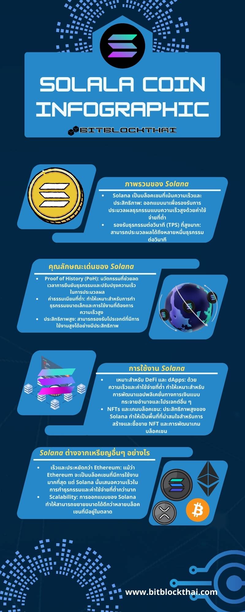 โซลานาอินโฟกราฟฟิก solana infographic