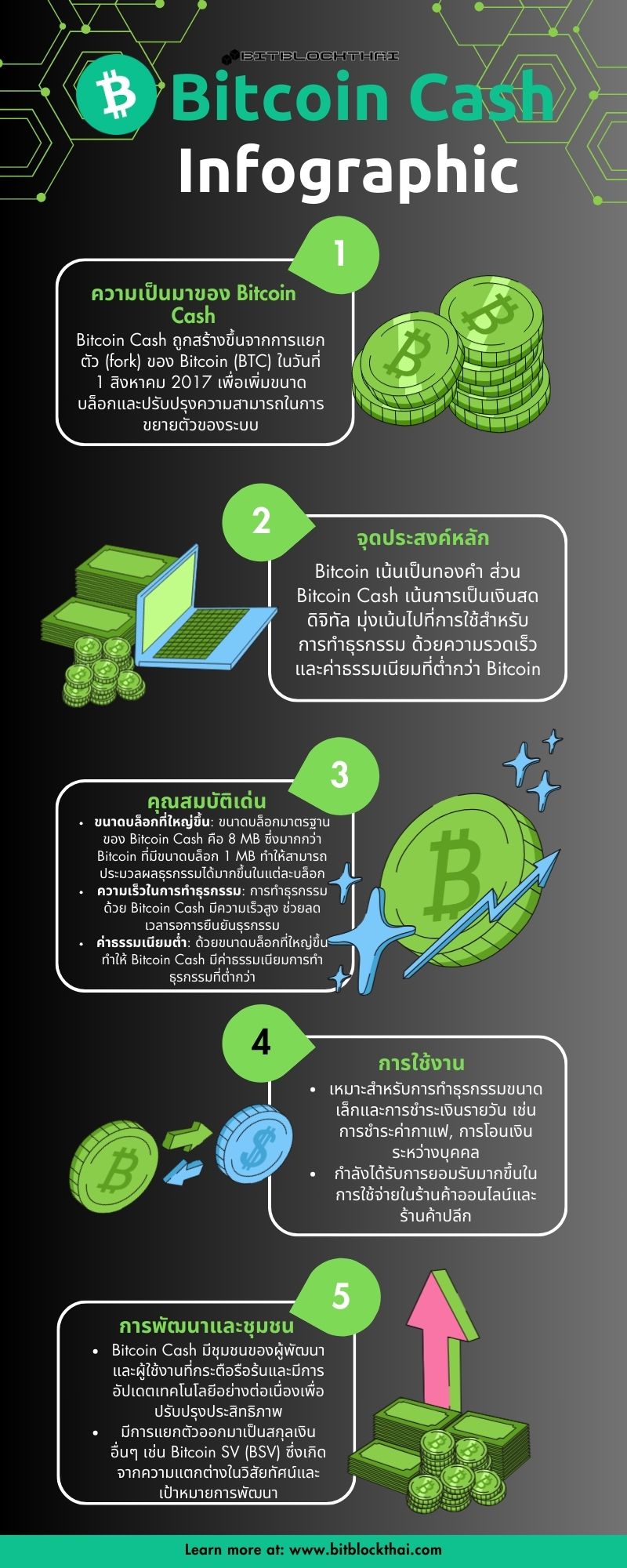 ข้อมูลพื้นฐานของ bitcoin cash infographic