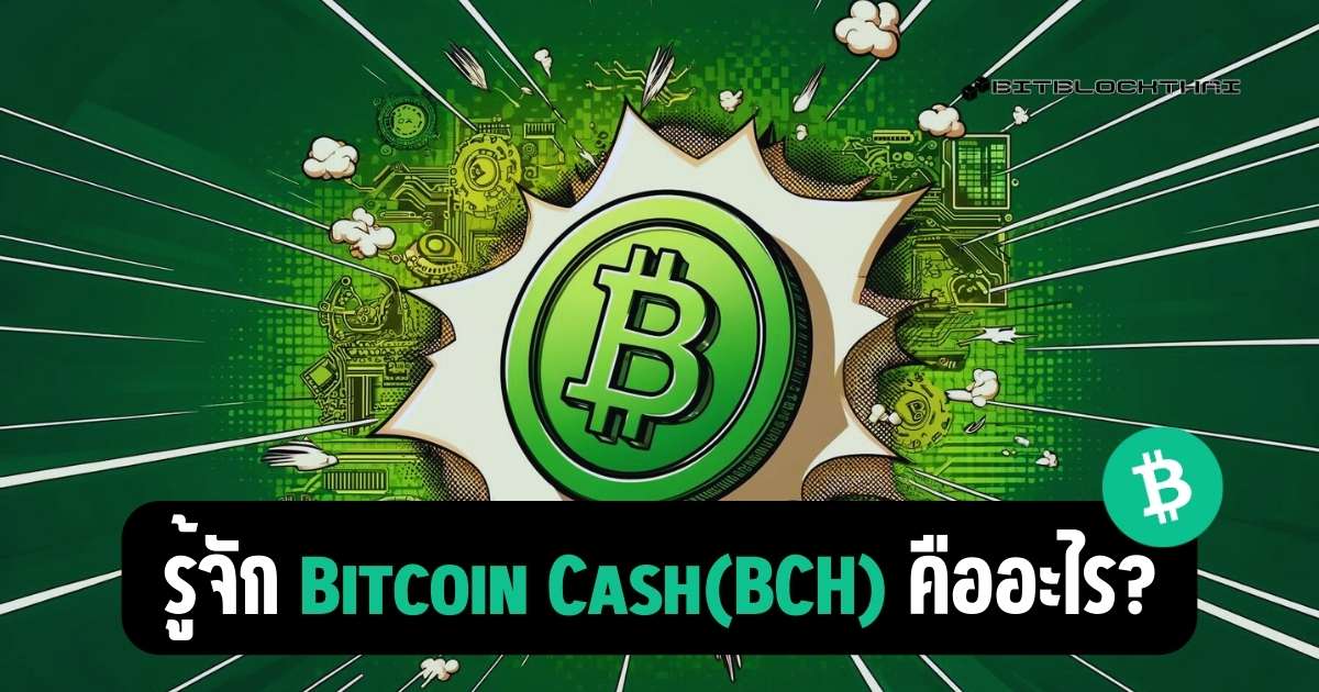 bitcoin cash (BCH) คืออะไร?